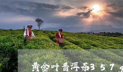 黄金叶普洱茶357g/2023110865147