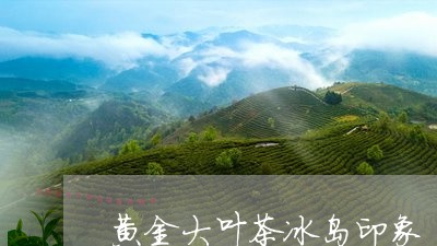 黄金大叶茶冰岛印象/2023092300803