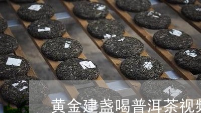 黄金建盏喝普洱茶视频/2023092965828