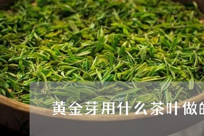 黄金芽用什么茶叶做的/2023092253947