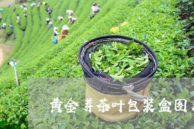 黄金芽茶叶包装盒图片/2023061134047