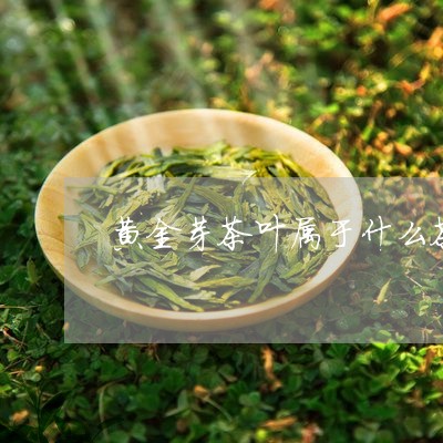 黄金芽茶叶属于什么茶/2023092294948