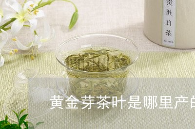 黄金芽茶叶是哪里产的/2023071633949