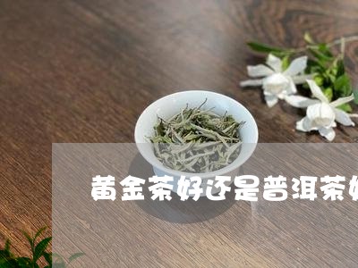 黄金茶好还是普洱茶好/2023080333826