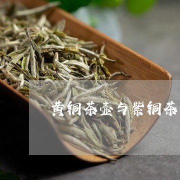 黄铜茶壶与紫铜茶壶泡茶的区别/2023053113938