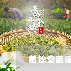 黄锦堂普洱茶/2023042571383