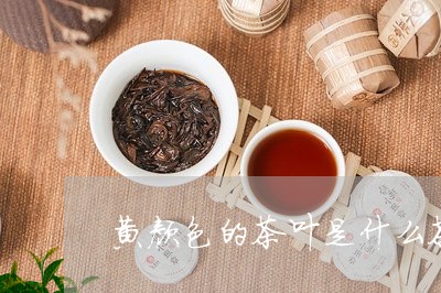 黄颜色的茶叶是什么茶/2023092216160