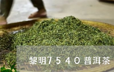 黎明7540普洱茶/2023091426159