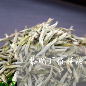 黎明厂值得购买藏的普洱茶/2023122078515