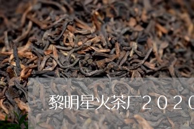 黎明星火茶厂2020新品/2023051174938