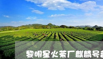 黎明星火茶厂麒麟号普洱茶/2023110295049