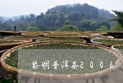 黎明普洱茶2006/2023070910514