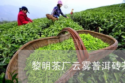 黎明茶厂云雾普洱砖茶/2023092542817