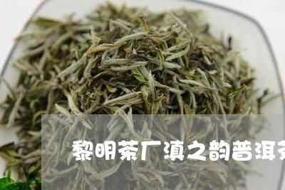 黎明茶厂滇之韵普洱茶/2023062330372