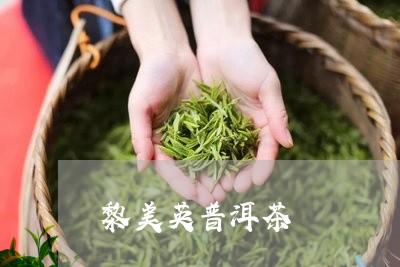 黎美英普洱茶/2023042854807