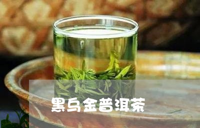 黑乌金普洱茶/2023042783945