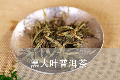 黑大叶普洱茶/2023042914047