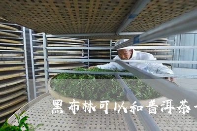 黑布林可以和普洱茶一起煮吗/2023082884826