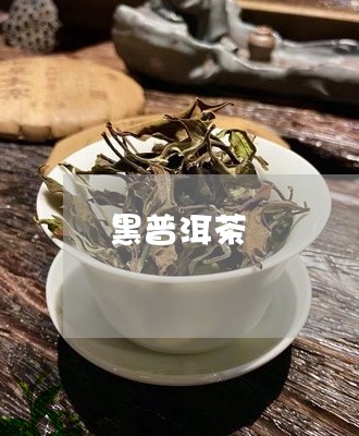 黑普洱茶/2023121822725