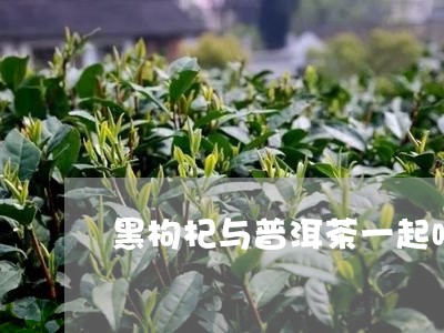 黑枸杞与普洱茶一起喝/2023061542405