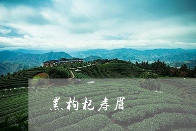 黑枸杞寿眉/2023051238464