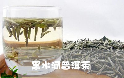 黑水河普洱茶/2023042964946