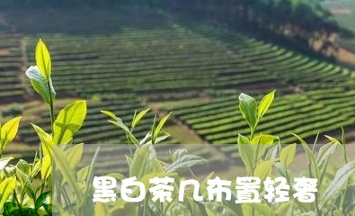 黑白茶几布置轻奢/2023071232605