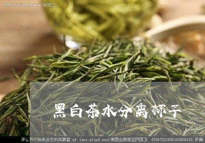 黑白茶水分离杯子/2023071208371