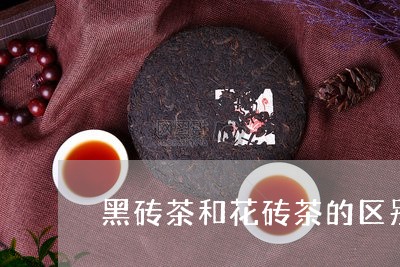 黑砖茶和花砖茶的区别/2023092150694