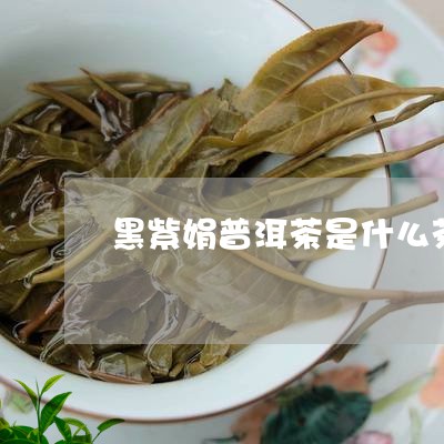 黑紫娟普洱茶是什么茶/2023062275937