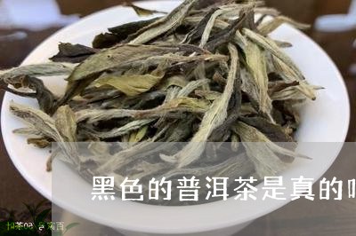 黑色的普洱茶是真的吗/2023093007260