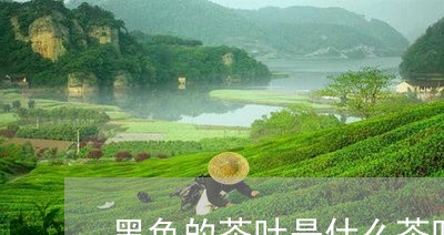 黑色的茶叶是什么茶叶/2023092242926