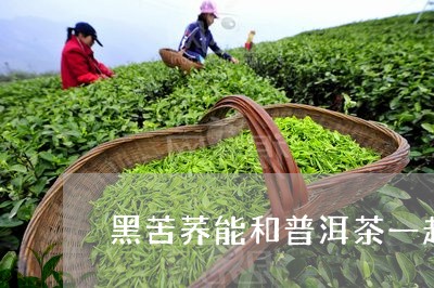 黑苦荞能和普洱茶一起泡吗/2023051372828