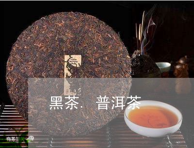 黑茶.普洱茶/2023042828089