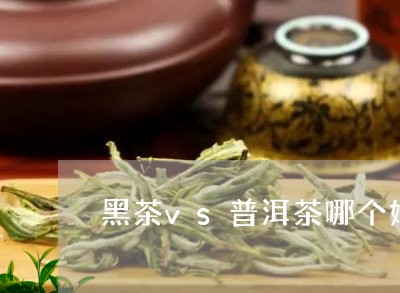 黑茶vs普洱茶哪个好/2023080354148