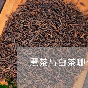 黑茶与白茶哪个好/2023071265262