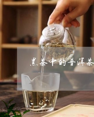 黑茶中的普洱茶能减肥/2023073009583