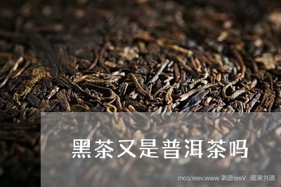 黑茶又是普洱茶吗/2023120436248