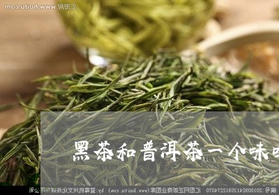 黑茶和普洱茶一个味吗/2023061980393