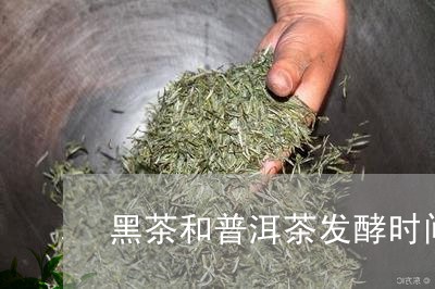 黑茶和普洱茶发酵时间/2023100720581