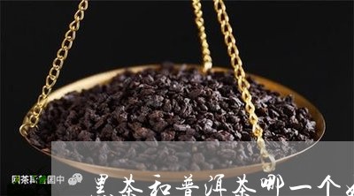 黑茶和普洱茶哪一个好/2023061586946