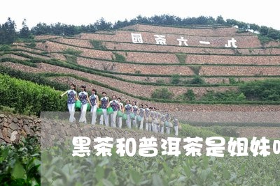 黑茶和普洱茶是姐妹吗/2023062446150