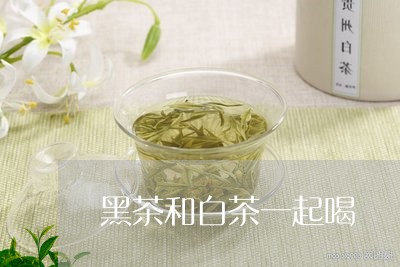 黑茶和白茶一起喝/2023071204050