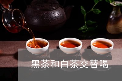 黑茶和白茶交替喝/2023071283848