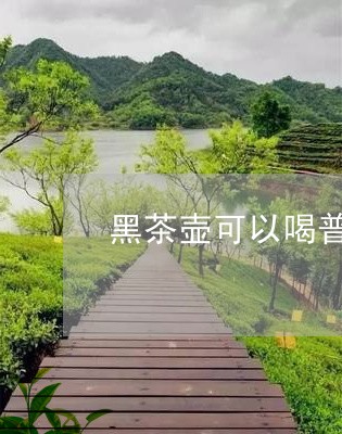 黑茶壶可以喝普洱茶吗/2023062357170