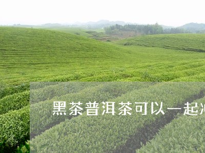 黑茶普洱茶可以一起冲吗/2023110854028