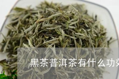 黑茶普洱茶有什么功效/2023100776268