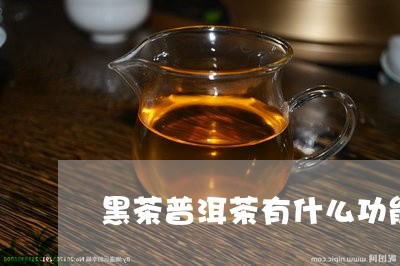 黑茶普洱茶有什么功能/2023100731682