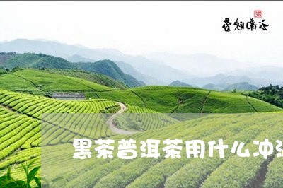 黑茶普洱茶用什么冲泡/2023100738471