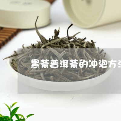 黑茶普洱茶的冲泡方法和时间/2023121869289